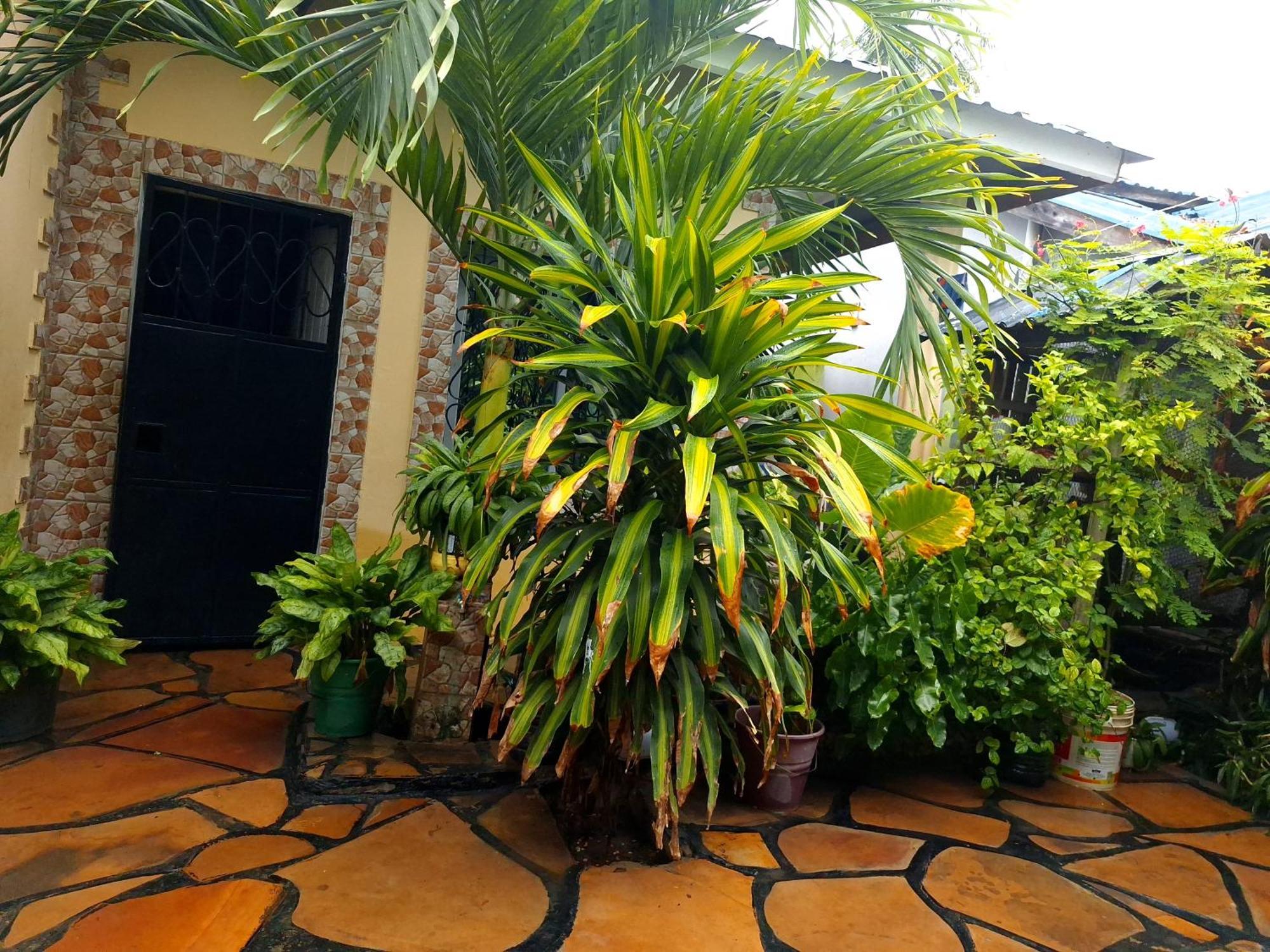 Mount Zion Guest House, Mtwapa Mtomondoni Mombasa Zewnętrze zdjęcie